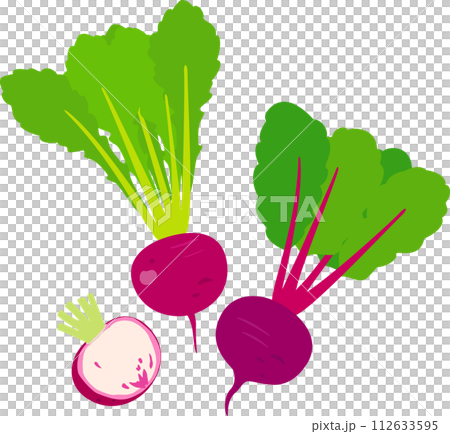 葉付きの赤かぶ 112633595