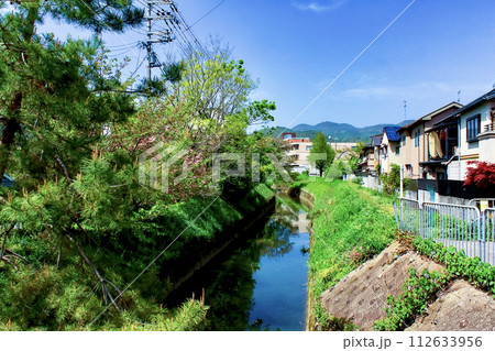 【京都】春の嵐山巡り　清水橋から望む有栖川と新緑 112633956