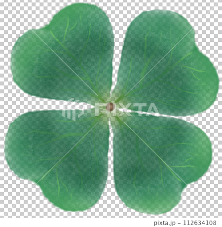 clover leaf isolated on white clover leaf isolated on white 112634108