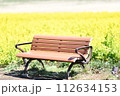 菜の花畑に置かれたベンチ 112634153