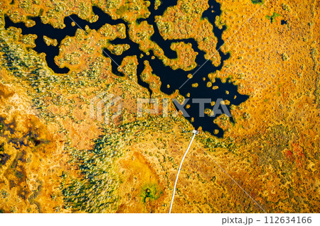 Miory District, Vitebsk Region, Belarus. The Yelnya Swamp. Aerial View Of Yelnya Nature Reserve Landscape. Narrow Wooden Hiking Trail Winding Through Marsh. Cognitive Boardwalk Trail Over A Wetland Miory District, Vitebsk Region, Belarus. The Yelnya Swamp. Aerial View Of Yelnya Nature Reserve Landscape. Narrow Wooden Hiking Trail Winding Through Marsh. Cognitive Boardwalk Trail Over A Wetland 112634166