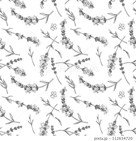 Seamless floral pattern with lavender. Vector in engraving style. Botanical background, French aromatic herb, repeating print. Blooming herbs texture design with Provence lavender blossom. 112634720
