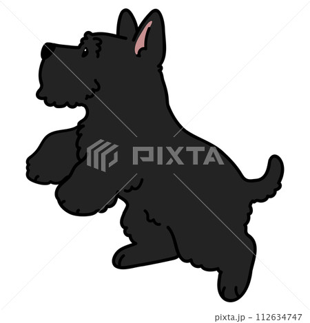 ジャンプするシンプルで可愛い黒いスコティッシュテリアのイラスト　主線あり 112634747