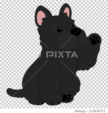 Illustration of a simple and cute black Scottish terrier waving, no main line Illustration of a simple and cute black Scottish terrier waving, no main line 112634751