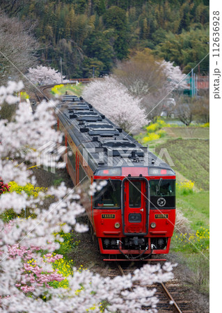 春爛漫なJR久大本線を走る特急「ゆふ」〜JR九州キハ185系ディーゼルカー 春爛漫なJR久大本線を走る特急「ゆふ」〜JR九州キハ185系ディーゼルカー 112636928