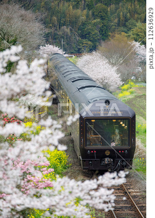 車窓から桜並木が見える豪華クルージングトレイン「ななつ星in九州」 112636929