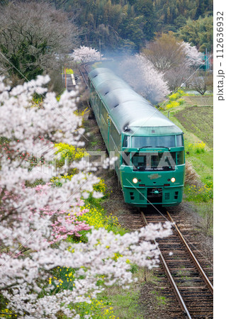 桜満開の中を走る特急「ゆふいんの森」〜JR九州キハ72系ディーゼルカー 112636932