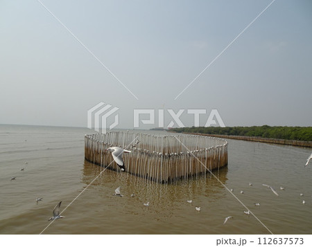 バンプー リゾート　サムットプラカーン・タイ　สถานตากอากาศบางปู　　Bangpu R 112637573