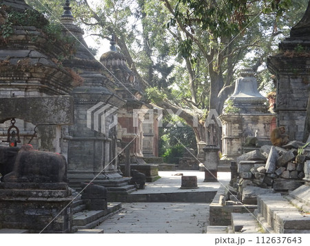 世界遺産パシュパティナート カトマンズ・ネパール Pashupatinath Temple 世界遺産パシュパティナート カトマンズ・ネパール Pashupatinath Temple 112637643