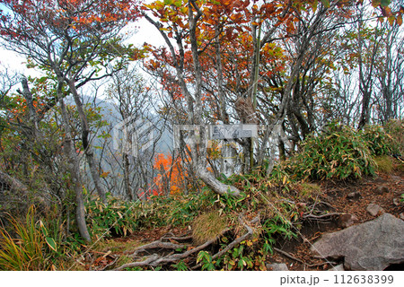 【山頂標識】群馬県・赤城山・駒ヶ岳（2009年） 112638399