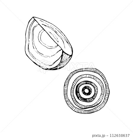 Vector illustration. Vegetables. A beet slice and an onion ring drawn with a black outline in vector. Suitable for printing on fabric and paper, product packaging, design, creativity. 112638637