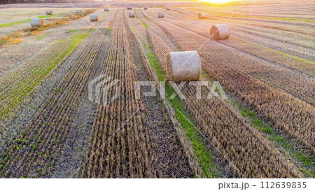 Many bales of wheat straw twisted into rolls with long shadows after wheat harvest lie on field during sunset sunrise. Flying over straw bales rolls on field. Aerial drone view. Agricultural landscape Many bales of wheat straw twisted into rolls with long shadows after wheat harvest lie on field during sunset sunrise. Flying over straw bales rolls on field. Aerial drone view. Agricultural landscape 112639835