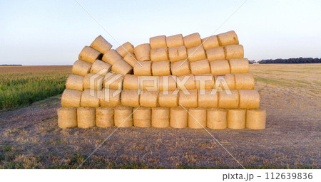 Many bales of compressed dry wheat straw, twisted into round rolls, on field on autumn summer evening morning during sunset dawn. Aerial drone view. Concept agricultural activities, agrarian industry 112639836