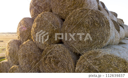Many twisted dry wheat straw in roll bales on field during sunset sunrise. Large bales straw after harvest twisted into rolls on field. Rural sunny landscape, countryside scenery. Aerial drone view, 112639837