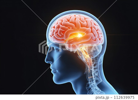 Concept of nervous system of human brain. MRI scan of hemispheres of brain. Nerve impulses in human head. Generative Ai 112639975