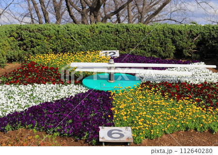 葛飾区立小菅西公園(こすげにしこうえん) 花時計 葛飾区立小菅西公園(こすげにしこうえん) 花時計 112640280