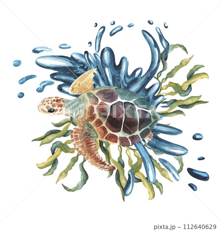 Watercolor sea turtle with seaweed and water splashes , algae. illustration for greeting cards, invitations, and other printing and web projects. Eco concept 112640629