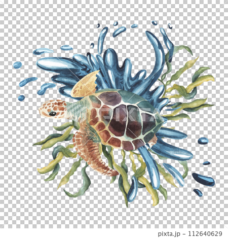 Watercolor sea turtle with seaweed and water splashes , algae. illustration for greeting cards, invitations, and other printing and web projects. Eco concept 112640629