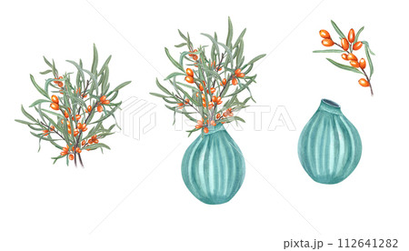 Bouquet of sea buckthorn in ceramic vase. Orange berries, green leaves, flowerpot. For interior decoration, comfort. Watercolor illustration isolated on white background. Bouquet of sea buckthorn in ceramic vase. Orange berries, green leaves, flowerpot. For interior decoration, comfort. Watercolor illustration isolated on white background. 112641282
