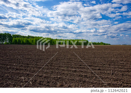 Brown soil of an empty field contrasts with the green trees and blue sky with clouds. Brown soil of an empty field contrasts with the green trees and blue sky with clouds. 112642021