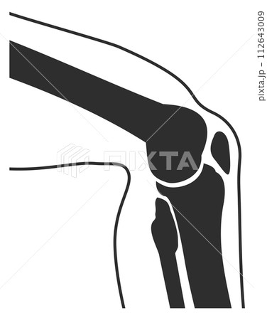 Human knee joint black silhouette. Anatomy illustration 112643009