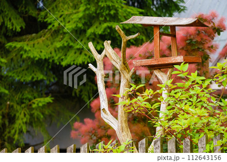 Bird feeder in garden Bird feeder in garden 112643156