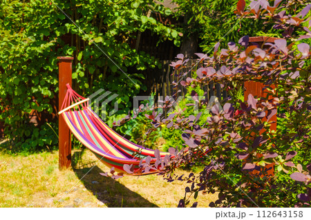 Hammock in garden 112643158
