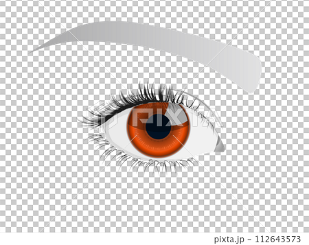 美麗的眼睛（特寫） 112643573