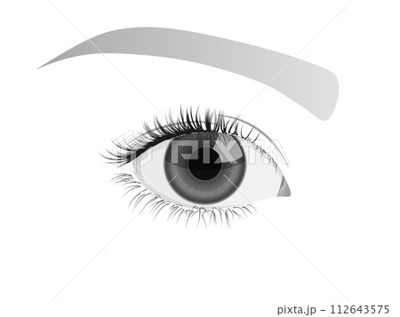 美しい瞳(クローズアップ) 美しい瞳(クローズアップ) 112643575