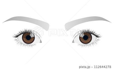 美しい瞳（クローズアップ） 112644278