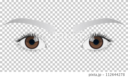 美しい瞳（クローズアップ） 112644278