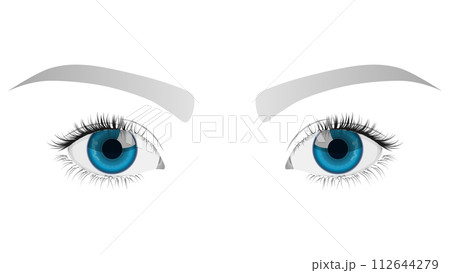 美しい瞳（クローズアップ） 112644279