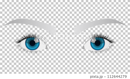 美しい瞳（クローズアップ） 112644279