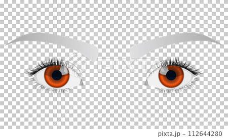 美麗的眼睛（特寫） 112644280