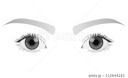 美しい瞳（クローズアップ） 112644281