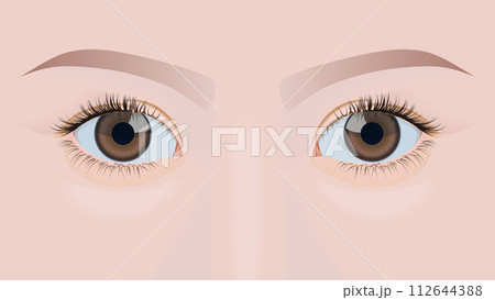 美しい瞳（クローズアップ） 112644388