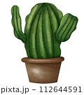Cactus in my pot 112644591