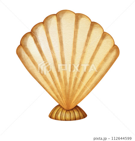 My Imaginary Scallops 112644599