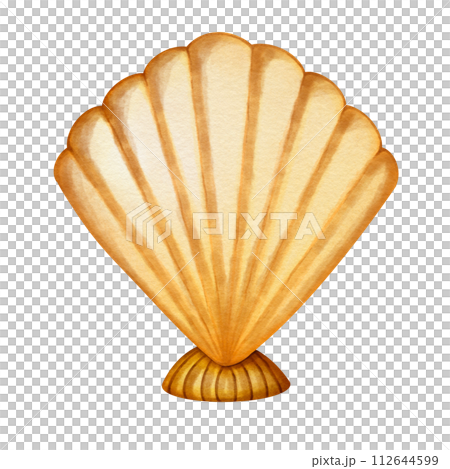 My Imaginary Scallops 112644599