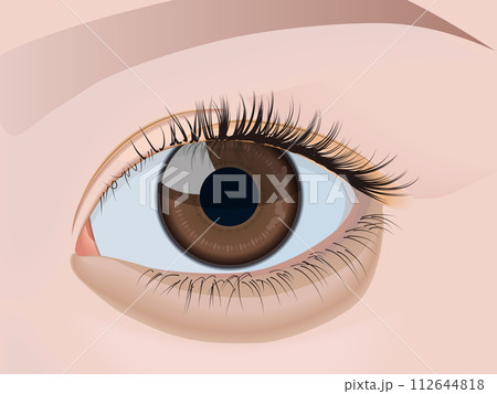 目の下のくま 目の下のくま 112644818