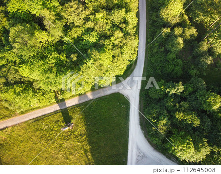 Nature and landscape: aerial view of a forest and a naturalistic path,  112645008