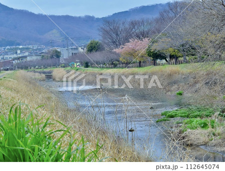 春の小川。 春の小川。 112645074