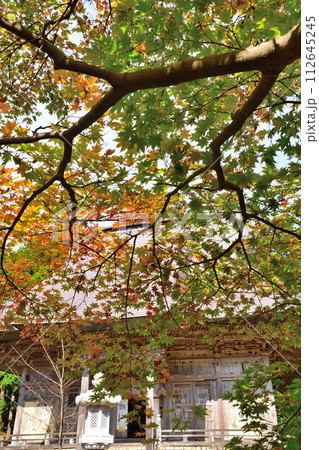 国上寺の紅葉(新潟県) 国上寺の紅葉(新潟県) 112645245