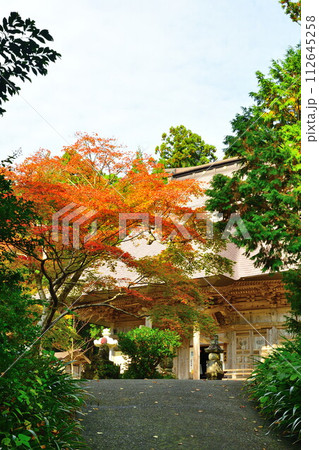 国上寺の紅葉（新潟県） 112645258