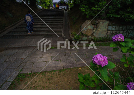 京都市東山区智積院（ちしゃくいん）に咲く梅雨時期の紫陽花を撮影 112645444
