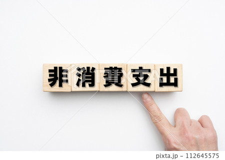 イメージ　非消費支出 112645575