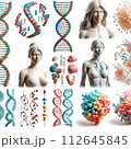 DNA 112645845