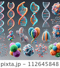 DNA 112645848