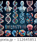 DNA 112645851
