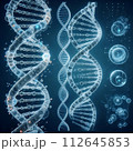 DNA 112645853